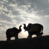 Hand-Painted Rajasthani Elephant Showpiece – Black & Multicolor