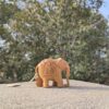Hand-Carved Wooden Elephant with Baby Elephant Inside – Miniature Jali Art