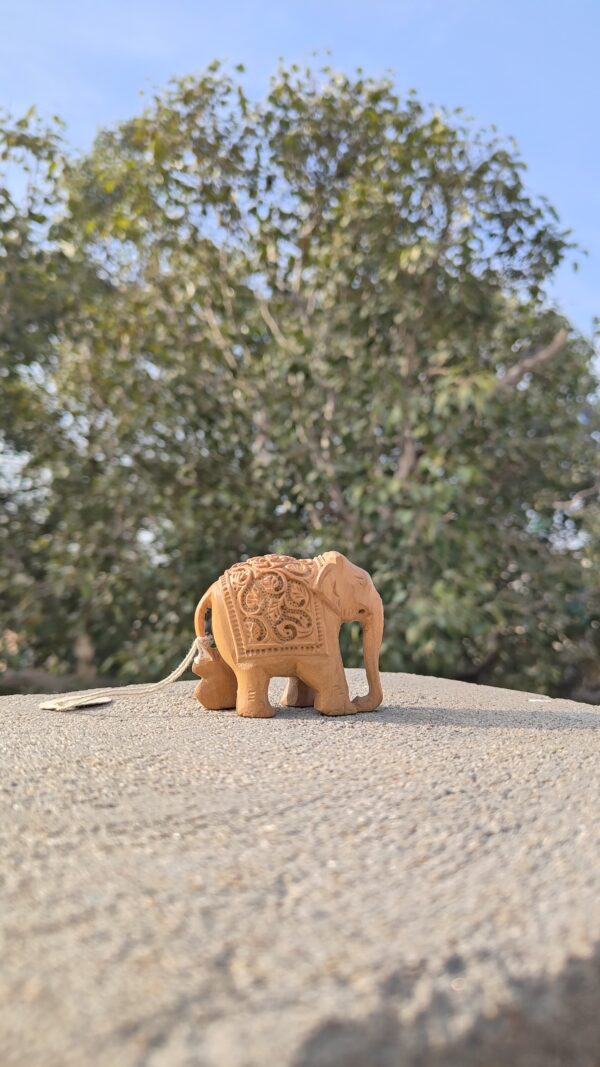Hand-Carved Wooden Elephant with Baby Elephant Inside – Miniature Jali Art