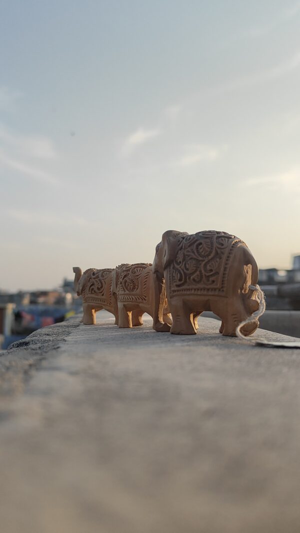 Hand-Carved Wooden Elephant with Baby Elephant Inside – Miniature Jali Art