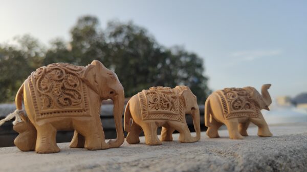 Hand-Carved Wooden Elephant with Baby Elephant Inside – Miniature Jali Art